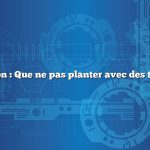 Question : Que ne pas planter avec des tomates